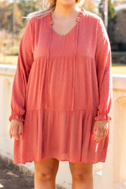 Everything Is Groovy Dress, Rust -Chic Soul Store 1I5A8507