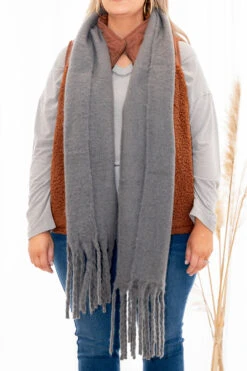 Snuggled Up Together Scarf, Gray -Chic Soul Store 373A5231