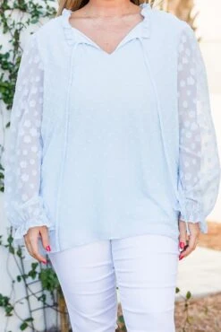 Bluebirds Fly Top, Pale Blue -Chic Soul Store BluebirdsFlyTop PaleBlue 2