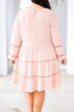 Blushing Belle Babydoll Dress, Mauve -Chic Soul Store BlushingBelleBabydollDress Mauve