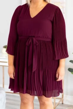 Spinning Around The Dance Floor Dress, Wine 9 Spinning Around The Dance Floor Dress, Wine -Chic Soul Store DSC9144