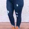 All Season Long Skinny Jeans, Dark Wash -Chic Soul Store DSC 1744