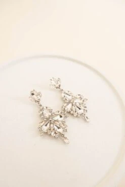 Did My Part Earrings, Silver