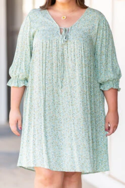 Perk Things Up Dress, Sage -Chic Soul Store IMG 2997 Edit