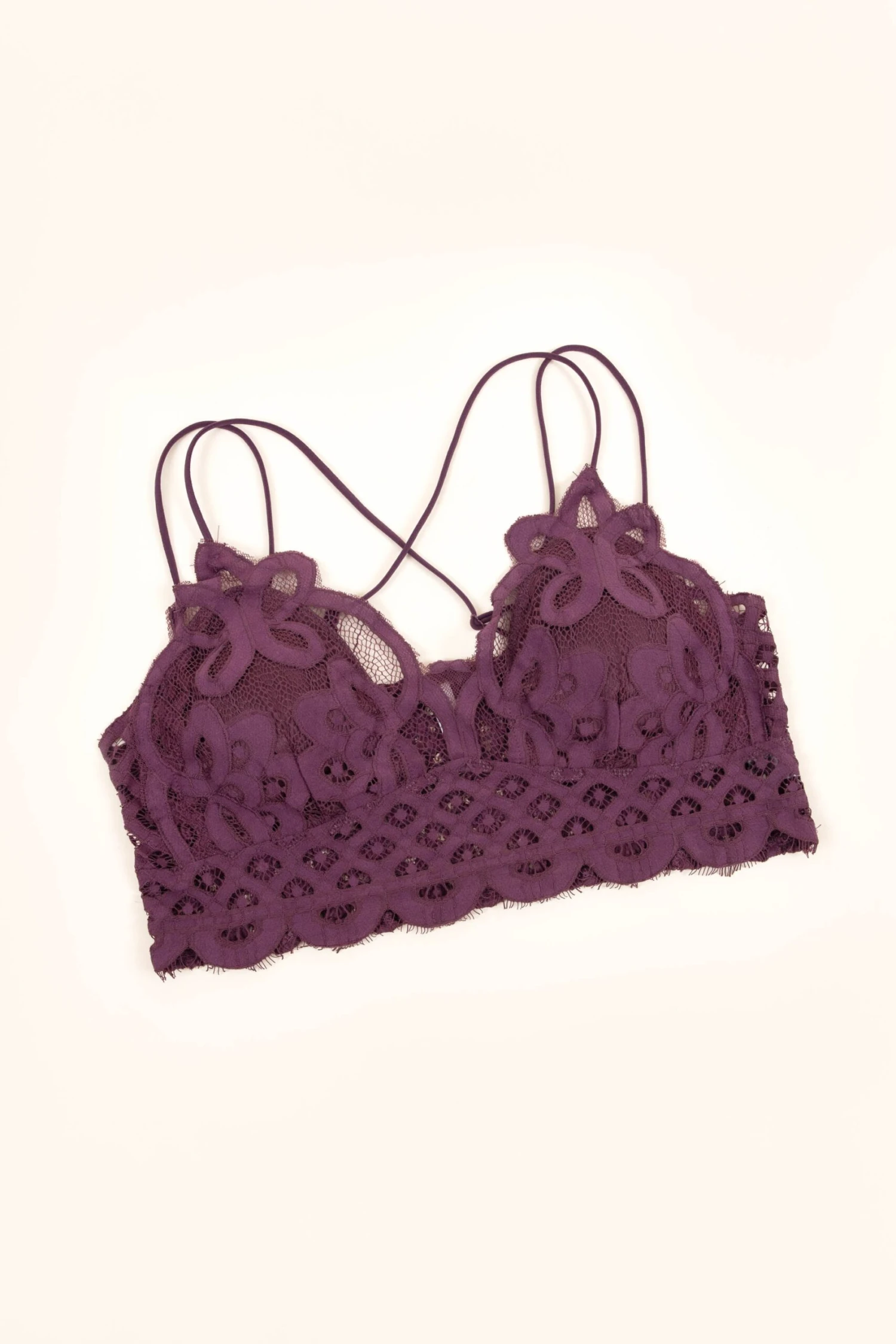 Secretly Stunning Bralette, Eggplant 5 Secretly Stunning Bralette, Eggplant - Image 3