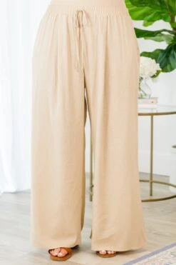 Stolen Glances Pants, Tan -Chic Soul Store StolenGlancesPant Tan 2