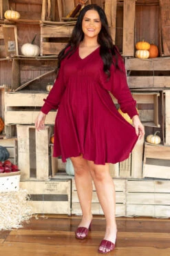 Strawberry Fields Dress, Burgundy -Chic Soul Store StrawberryFieldsDress Burgundy 3