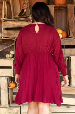 Strawberry Fields Dress, Burgundy -Chic Soul Store StrawberryFieldsDress Burgundy 7580