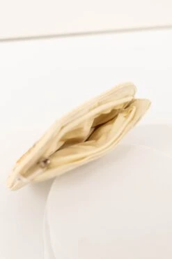 Terrific Tiger Pouch, Multi -Chic Soul Store TerrificTigerPouch Multi 1860