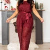 The Less You Know Jumpsuit, Wine 1 The Less You Know Jumpsuit, Wine -Chic Soul Store TheLessYouKnowJumpsuit Wine 0964