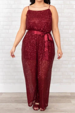 The Less You Know Jumpsuit, Wine -Chic Soul Store TheLessYouKnowJumpsuit Wine 9840